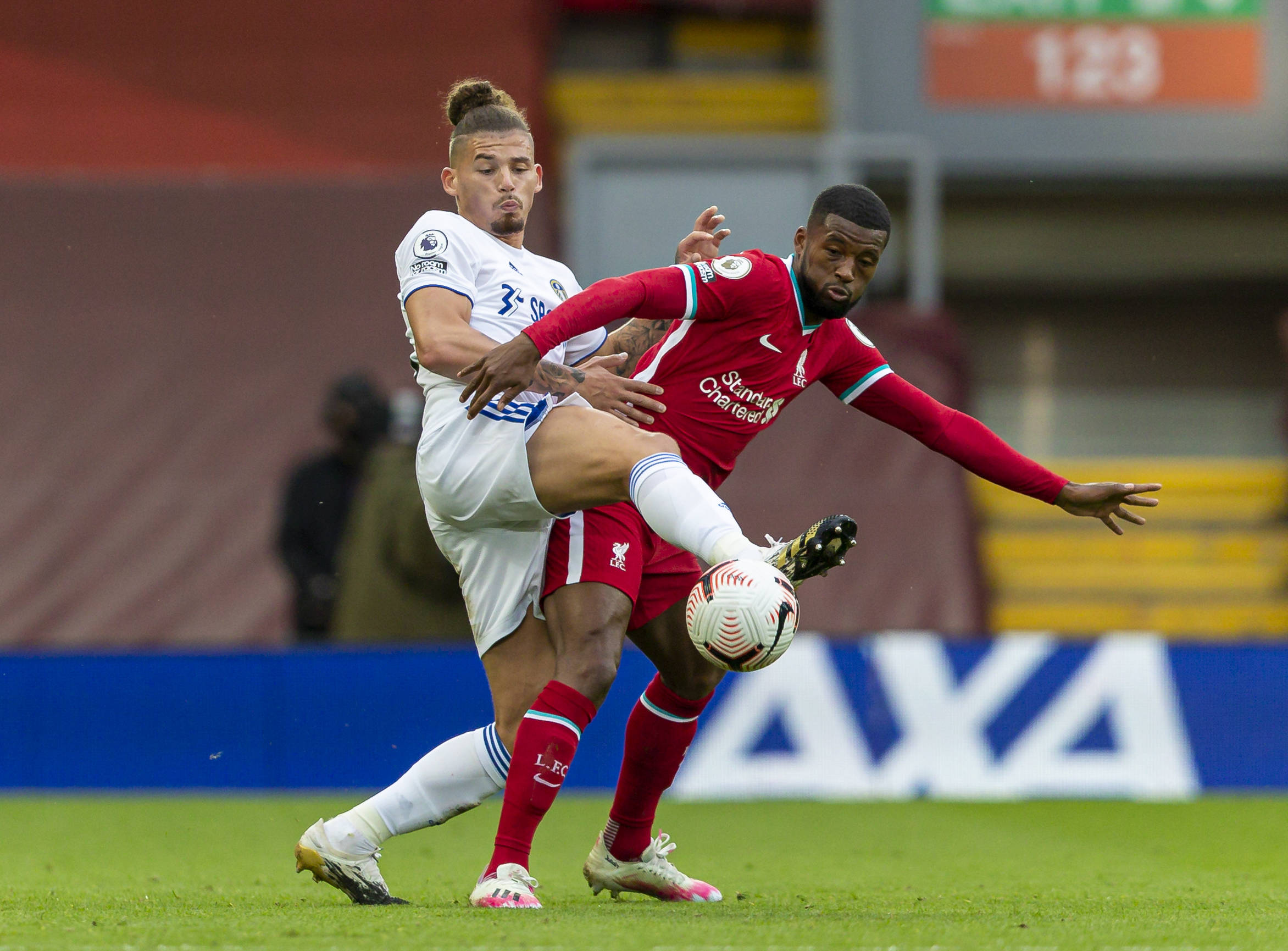 的版图中 的版图中